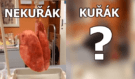 Video, ve kterém uvidíte rozdíl mezi plícemi kuřáka a nekuřáka, budete kouřit i po jeho zhlédnutí?