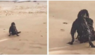 Když se opaloval na pláži, vyfotil strašlivé stvoření: Budete překvapeni, když zjistíte, co to doopravdy bylo