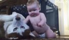 Záludný pokus dítěte spřátelit se s novým psem vyvrcholil v neuvěřitelně rozkošný okamžik