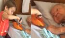 Dojemné video: Chlapec krmí nemocného dědečka a ukazuje pravou rodinnou lásku. Učí nás důležitou lekci