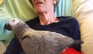 Umírající žena se loučí se svým papouškem: Okamžitá reakce ptáka vás dovede k slzám