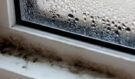Když se vám na orosených oknech objeví plíseň, sáhněte do kuchyně pro tyto dvě věci. Účinnější, než drahé chemické prostředky z obchodu