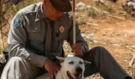 Statečný zásah: Příběh trooper Tudorse a jeho záchrany psa v Tennessee