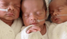 Šok po porodu: Lékaři nevěřili vlastním očím! Britka porodila jednovaječná trojčata – šance byla 1 ku 200 milionům