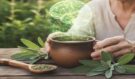 Bylina moudrosti: Stačí jeden šálek denně a váš mozek po 60. roce omládne o několik let!