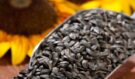 Milujete slunečnicová semínka? Těchto 5 výhod musíte znát!