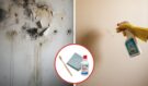 Jak opravit plesnivé nebo olupující se zdi během několika minut bez najímání technika