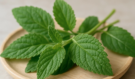 7 nenápadných listů, které mohou pomoci při cukrovce, tlaku, bolestech i cholesterolu. Máte je doma?
