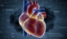Tichý zabiják ve vašich žilách: Proč většina lidí neví, že jim vysoký cholesterol ničí srdce – a co s tím můžete okamžitě udělat!