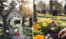 Květiny pro zesnulé: 7 rostlin, které se vysazují na hřbitově. Zde jsou symboly života duše po smrti!