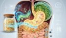 Co se stane s vaším tělem, když budete jíst kysané zelí každý den: Vysvětlení nutričního poradce