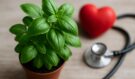 Tichý zabiják infarktu? Voňavá bylinka, která může chránit vaše srdce i mozek