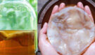 Kombucha: Módní zázrak, nebo skutečný elixír zdraví? Pravda o „čajové houbě“, kterou všichni pijí
