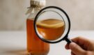 Kombucha pod drobnohledem: Módní zázrak, nebo skutečný elixír zdraví?