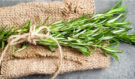 Rozmarýn jako tajná zbraň proti bolestem, otokům i zápachu bot: Jak ho správně použít?