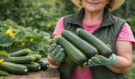 Nesázejte cuketu vedle těchto rostlin: Zahrádkáři varují před chybou, která může zničit celou úrodu