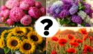 Která kytice vás oslovila jako první? Vaše volba odhaluje pravdu o vaší duši, kterou si málokdy přiznáte i sama sobě!