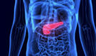 Tichý zabiják v břiše: Rakovina slinivky téměř nebolí, dokud není pozdě. Poznáte varovné signály včas?