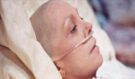 Nová potravinová hrozba děsí svět: Oblíbená surovina je spojována s rakovinou a země bijí na poplach!