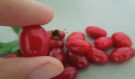 Po čtyřicítce si dejte pozor na tuto nenápadnou bobuli: Může ovlivnit cévy i cukr v krvi!