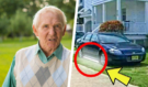 Stařec odmítal přeparkovat auto z trávníku a sousedé šíleli: Když zjistili, co skrývá, zůstali stát v šoku!