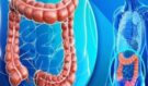 Ranní chyba, kterou dělá většina lidí: Gastroenterolog radí 5 návyků pro klidnější střeva!