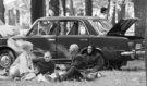 Takhle piknikovali Čechoslováci v 60., 70. a 80. letech: Nostalgie, která vás okamžitě vrátí do dětství!