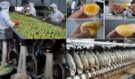 Těchto 10 potravin z Číny děsí lidi po celém světě: Plasty, pesticidy a karcinogenní chemie!